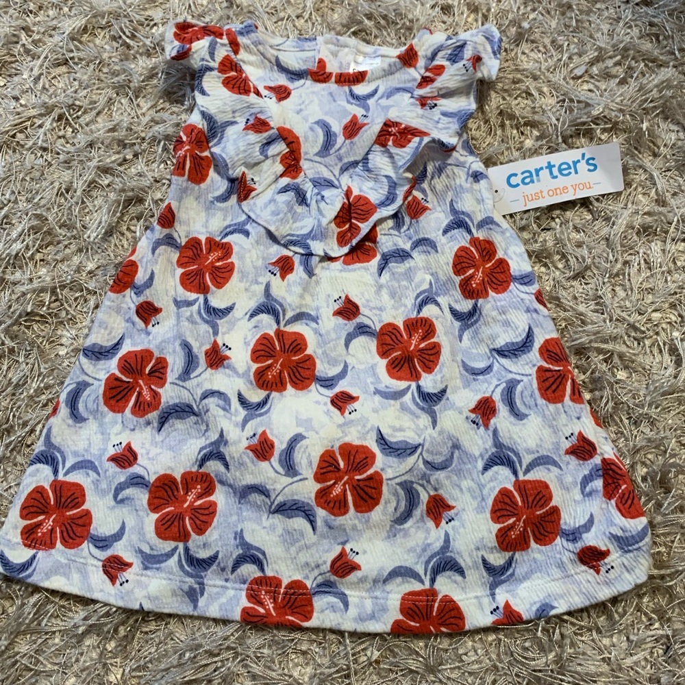 Carter's Baby Outfit with Red and Blue Floral Design - 6M NWT